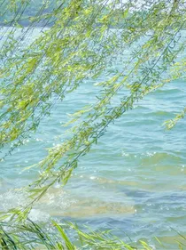 盗笔：愿你一切安好