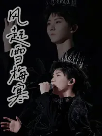 风起雪梅寒
