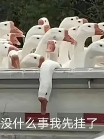 综影视：女主她每天都在完蛋