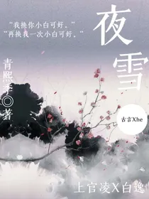 在夜雪