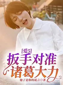 爱5：扳手对准诸葛大力