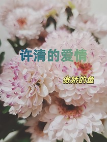 许清的爱情