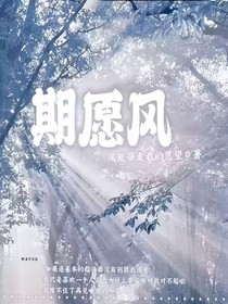 期愿风