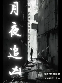 月夜追凶