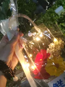 小小潇潇琪琪