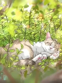 猫武士——雾雨交加