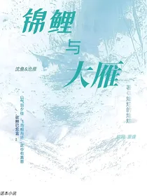 锦鲤与大雁