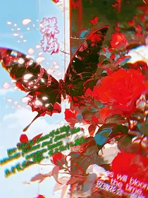 蝶梅