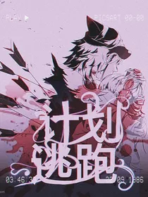 佣空：计划逃跑
