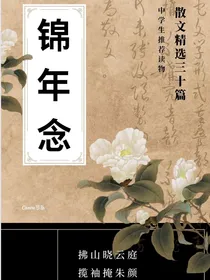 锦年念