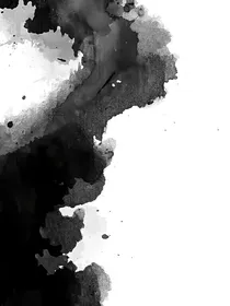 迷雾：向阳花