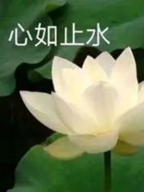 精神状态？已疯