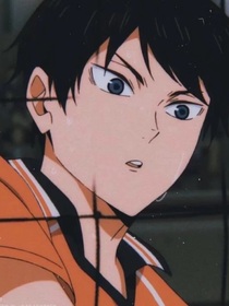 排球少年之王者的加冕