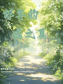 斗龙：—那年的盛之夏