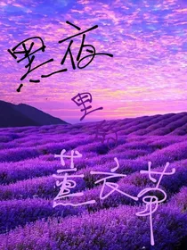 黑夜里的薰衣草