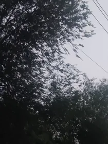 邪门cp专产粮