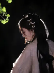 TF三代：梦半生