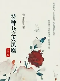 特种兵之火凤凰——安冬昵2