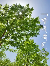 傍晚有风