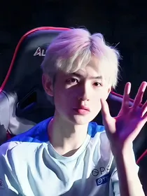 KPL：辅助妹妹不好惹