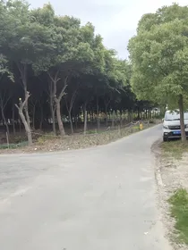 遇见你，是我的喜欢