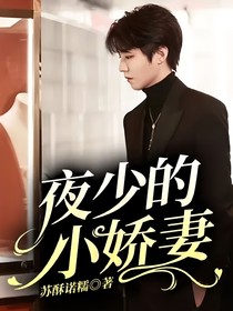 夜少的小娇妻