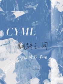 CYML：翻转之间