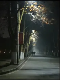 武工队传奇付英婚后生活