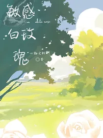 文轩：敏感白玫瑰
