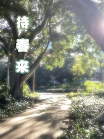 待春来回望……