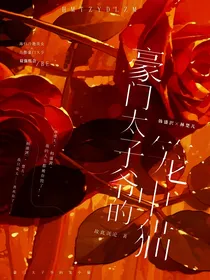 豪门太子爷的笼中猫