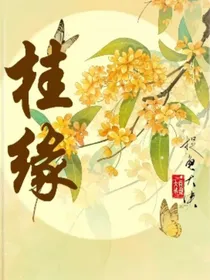 桂缘