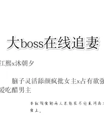 大boss在线追妻