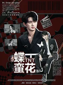 TNT：蝶蛮花