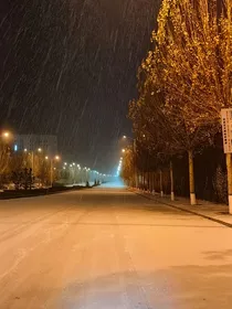 奇怪的冬路
