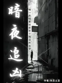 暗夜追凶