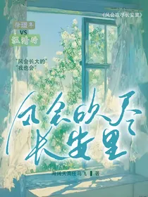 风会吹尽长安里