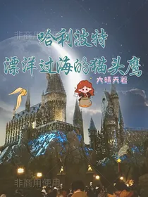 hp：漂洋过海的猫头鹰