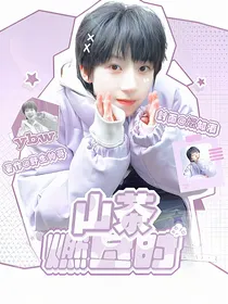 TF四代：山茶燃尽时