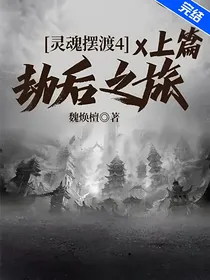 灵魂摆渡4：劫后之旅x上篇