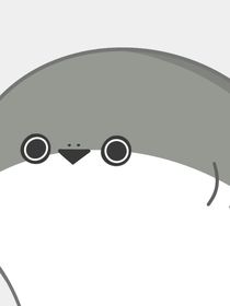 新手养母手册
