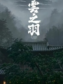 云之羽少年歌行：忆往昔