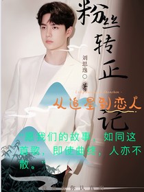 粉丝转正记从追星到恋人