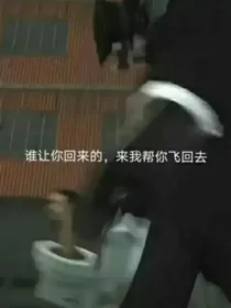 我穿越到监控人VS马桶人世界