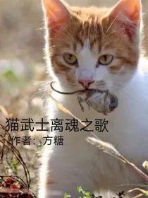 猫武士之离魂之歌