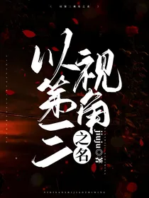 以第三视角之名