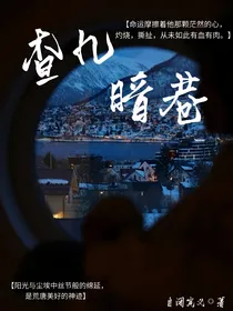 查九暗巷