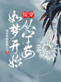 综穿：从宁安如梦开始