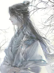 雾中探他