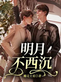 明月不西沉